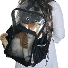 Load image into Gallery viewer, Smiledrive Cat Carry Bag Small Dog Backpack Carrier Breathable Clear Lightweight Case for Pets