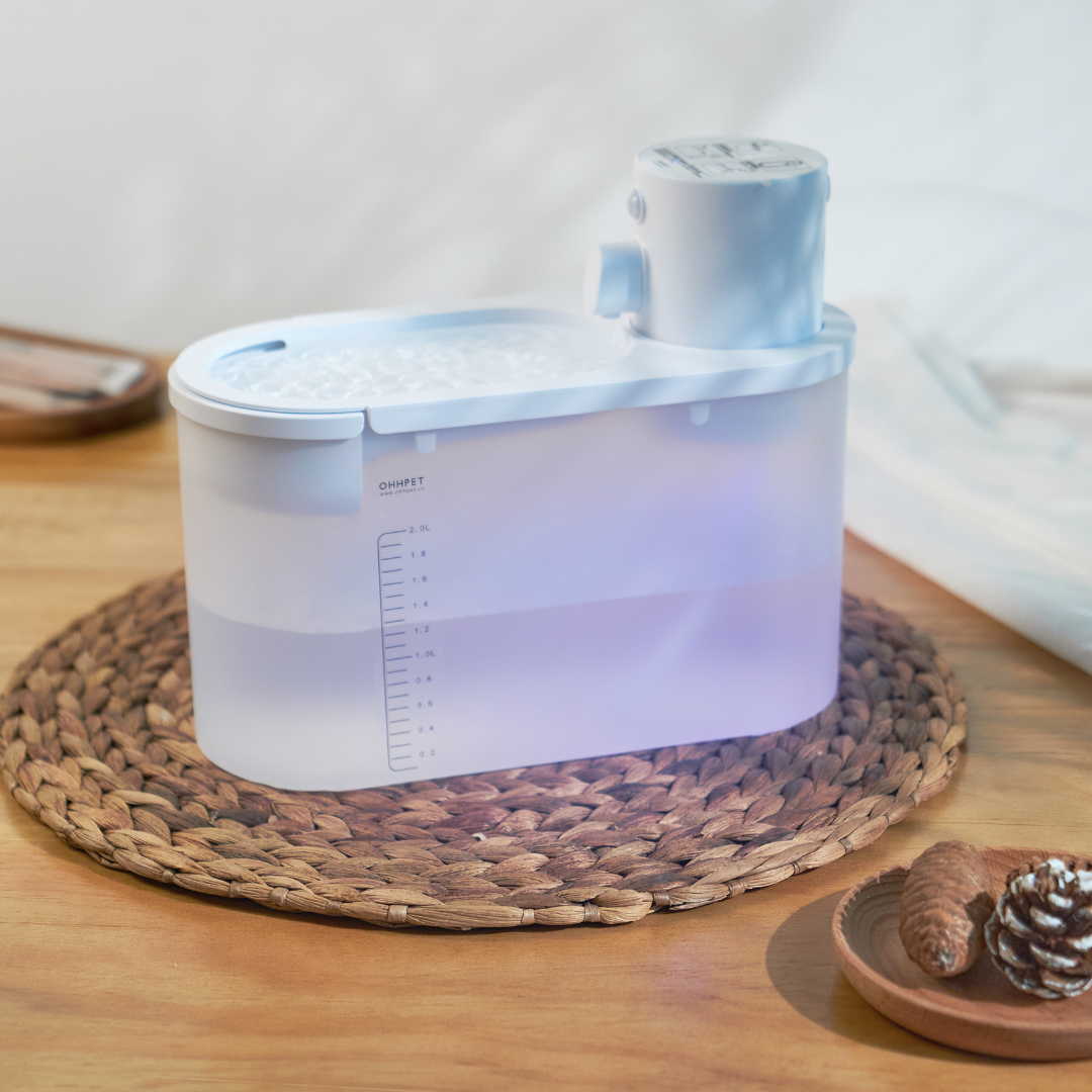 Petsmart dog water fountain hot sale