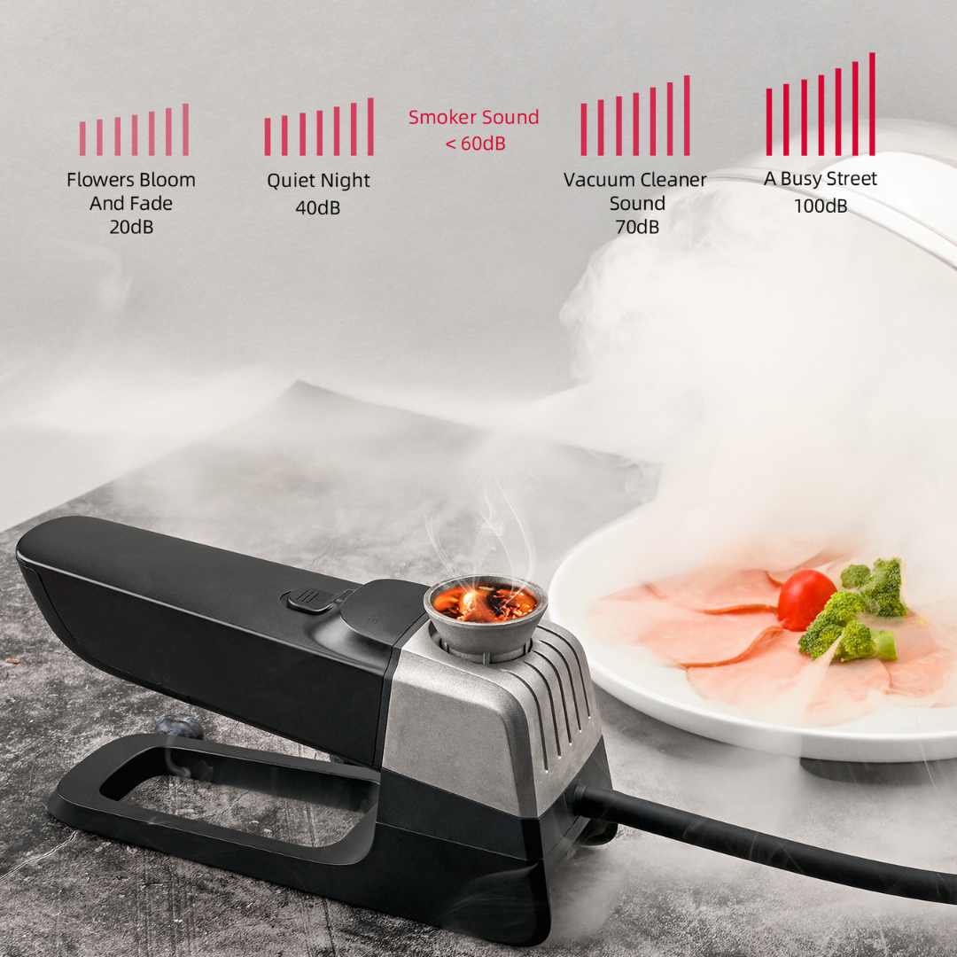 Smiledrive Professional Smoke Infuser Gun Portable Smoking Machine for Food Cocktails