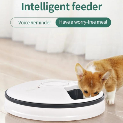 Smiledrive Automatic Cat Feeder Food Dispenser for Pets Dogs 6 Meal Trays for Wet Dry Feed with Digital LED Display Timer