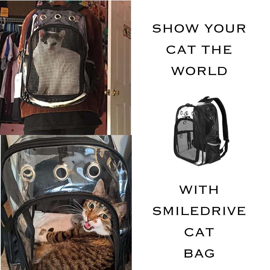 Smiledrive Cat Carry Bag Small Dog Backpack Carrier Breathable Clear Lightweight Case for Pets