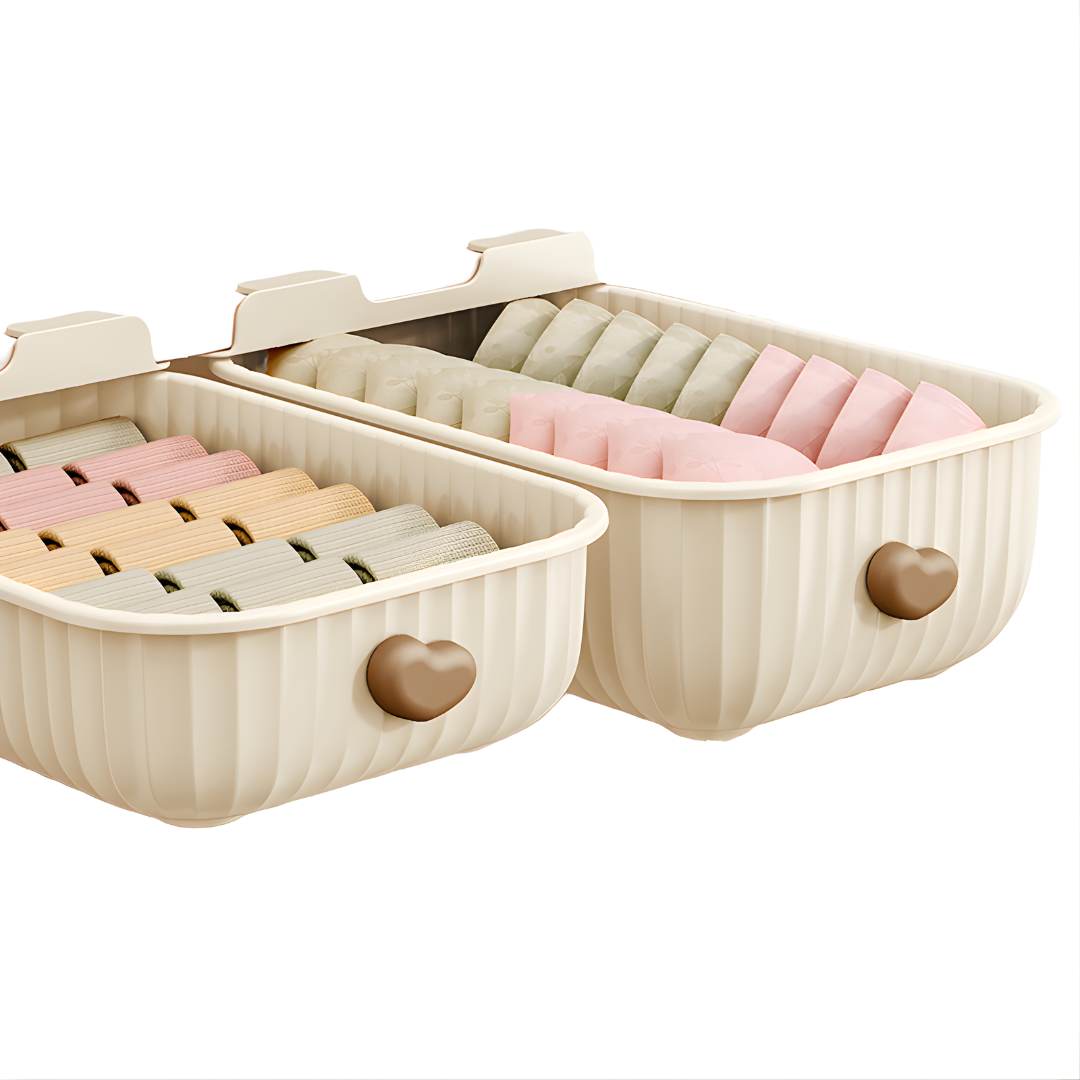 Clothes Organizer Boxes for Wardrobe | Storage Boxes for Bras, Socks, Innerwear & Baby Wear | Sliding Drawers for Cupboard