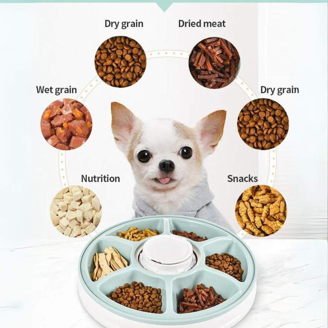 Smiledrive Automatic Cat Feeder Food Dispenser for Pets Dogs 6 Meal Trays for Wet Dry Feed with Digital LED Display Timer