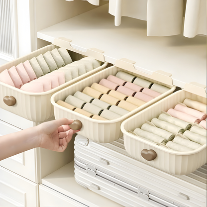 Clothes Organizer Boxes for Wardrobe | Storage Boxes for Bras, Socks, Innerwear & Baby Wear | Sliding Drawers for Cupboard
