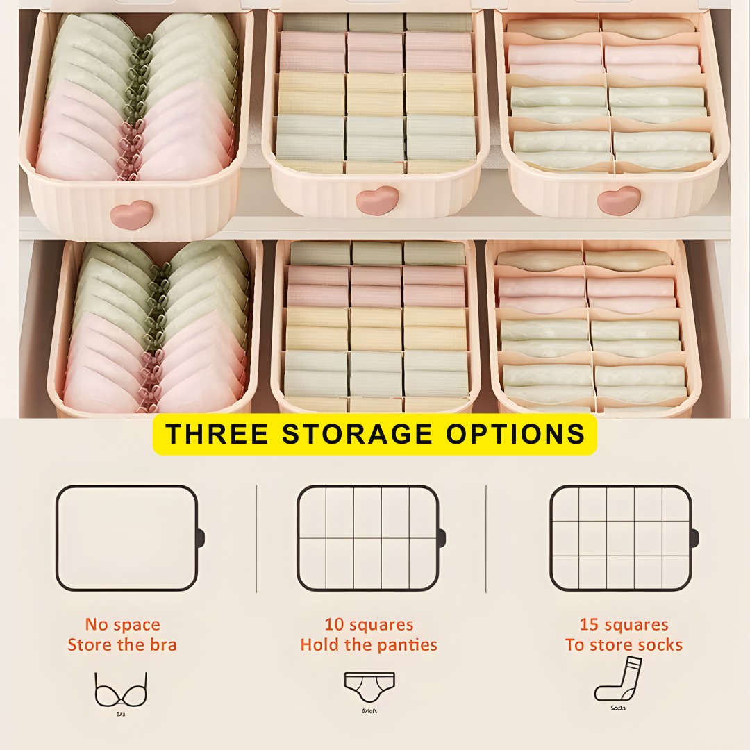 Clothes Organizer Boxes for Wardrobe | Storage Boxes for Bras, Socks, Innerwear & Baby Wear | Sliding Drawers for Cupboard