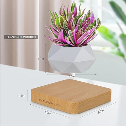 Magnetic Levitating Flower Pot - 360° Magnetic Rotation, Eco-Friendly Unique Home Décor