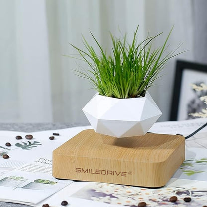 Magnetic Levitating Flower Pot - 360° Magnetic Rotation, Eco-Friendly Unique Home Décor