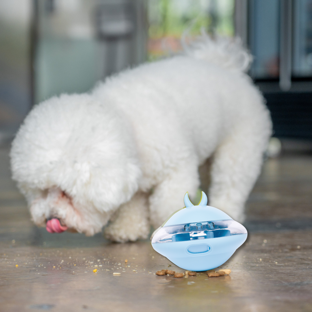 auto treat dispenser